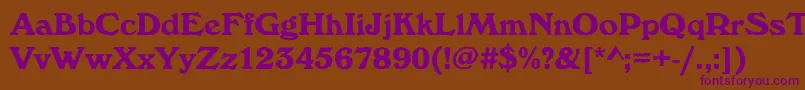 Windsorantdbol Font – Purple Fonts on Brown Background