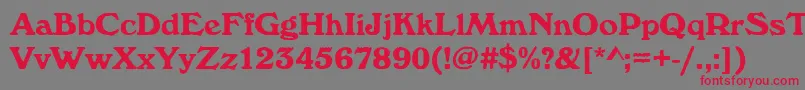 Windsorantdbol Font – Red Fonts on Gray Background