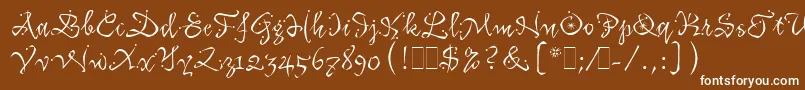 Шрифт KatfishLetPlain.1.0 – белые шрифты на коричневом фоне