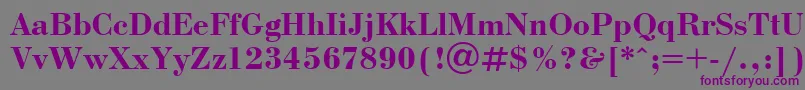 BodoniBoldCyrillic-Schriftart – Violette Schriften auf grauem Hintergrund