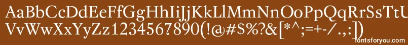 フォントRegentPro – 茶色の背景に白い文字