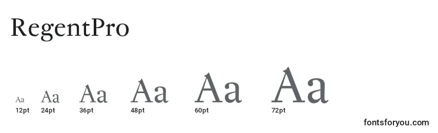 RegentPro Font Sizes