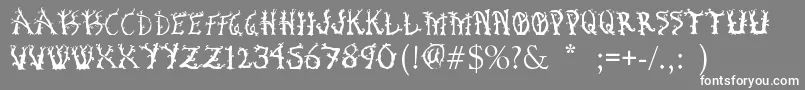 フォントBosqueEncantado – 灰色の背景に白い文字