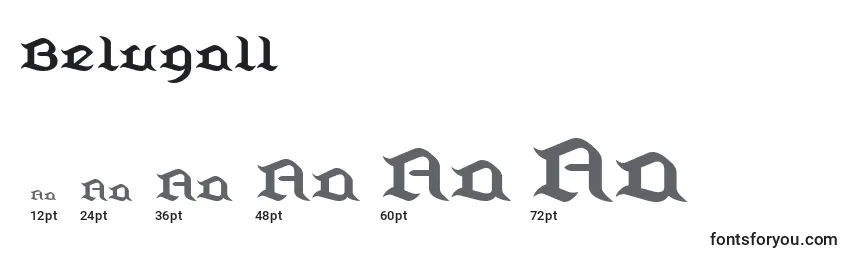 Belugall Font Sizes