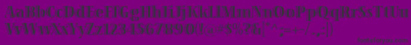 VivastdBoldcondensed Font – Black Fonts on Purple Background