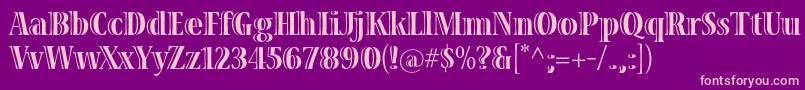 VivastdBoldcondensed Font – Pink Fonts on Purple Background