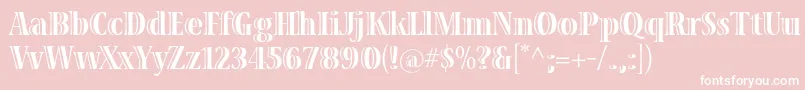 VivastdBoldcondensed Font – White Fonts on Pink Background