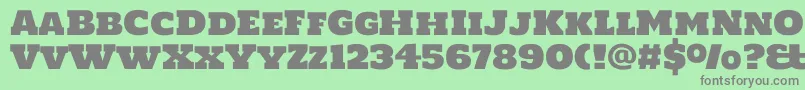 Holtwoodonesc Font – Gray Fonts on Green Background