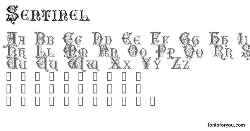 A fonte Sentinel – alfabeto, números, caracteres especiais