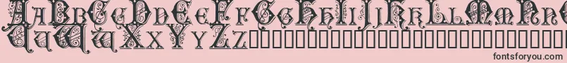 Sentinel Font – Black Fonts on Pink Background