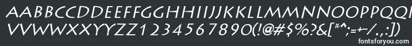 フォントLiddieItalic – 白い文字