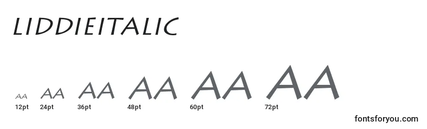 Размеры шрифта LiddieItalic