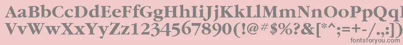 GaramondbttBold Font – Gray Fonts on Pink Background