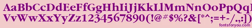 GaramondbttBold Font – Purple Fonts on Pink Background