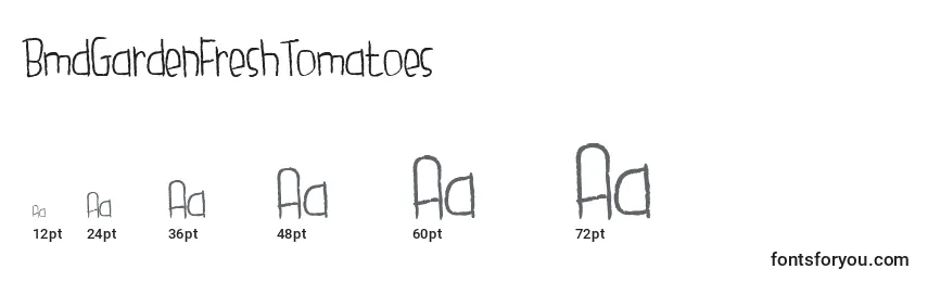 Размеры шрифта BmdGardenFreshTomatoes