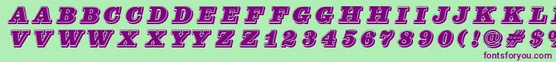 Pfcenturasinglecaps Font – Purple Fonts on Green Background