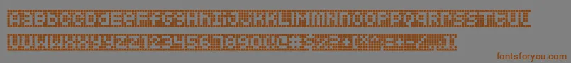 Squarodynamic10 Font – Brown Fonts on Gray Background