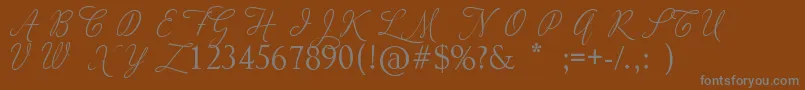 AdiosScriptCapsIi-fontti – harmaat kirjasimet ruskealla taustalla