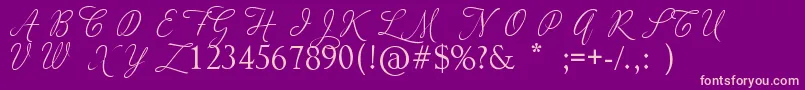 AdiosScriptCapsIi Font – Pink Fonts on Purple Background