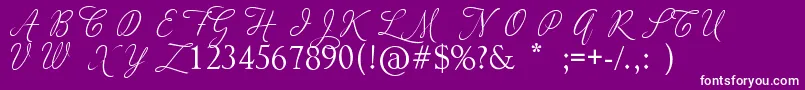 AdiosScriptCapsIi Font – White Fonts on Purple Background