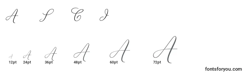 AdiosScriptCapsIi Font Sizes