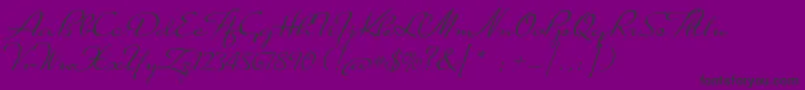 SuaveScript Font – Black Fonts on Purple Background