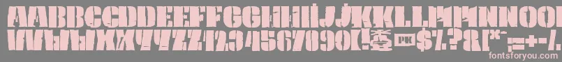フォントPkCaptain – 灰色の背景にピンクのフォント