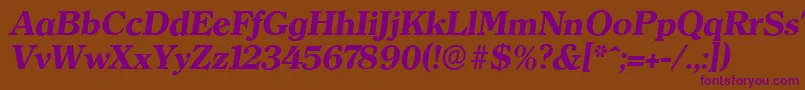 ClearfaceserialXboldItalic Font – Purple Fonts on Brown Background
