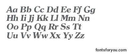 ClearfaceserialXboldItalic-fontti