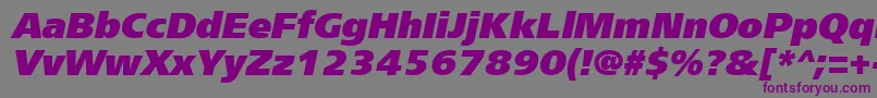 FreesetextracttItalic-fontti – violetit fontit harmaalla taustalla