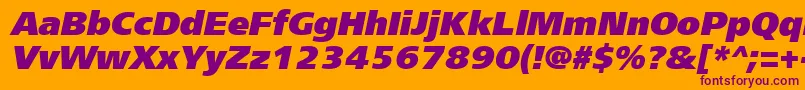 FreesetextracttItalic Font – Purple Fonts on Orange Background