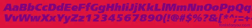 FreesetextracttItalic Font – Purple Fonts on Red Background