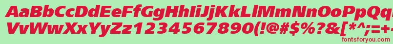 FreesetextracttItalic Font – Red Fonts on Green Background
