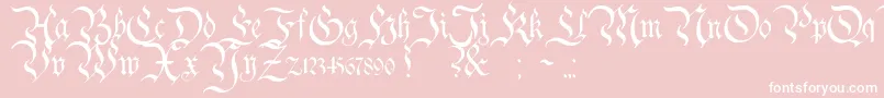 Charterwell Font – White Fonts on Pink Background
