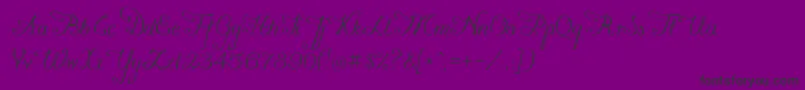 Konstytucyja091 Font – Black Fonts on Purple Background