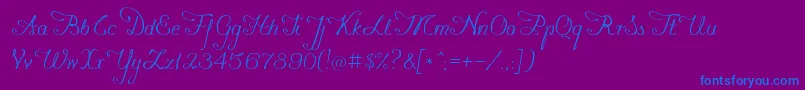 Konstytucyja091 Font – Blue Fonts on Purple Background