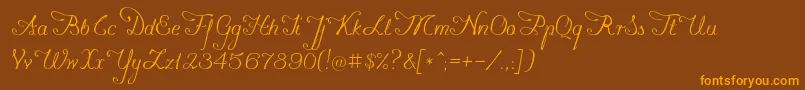 Konstytucyja091 Font – Orange Fonts on Brown Background