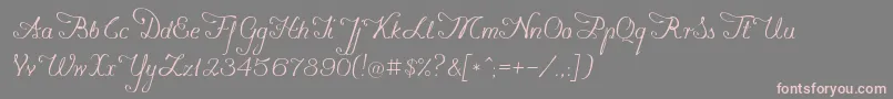 Konstytucyja091 Font – Pink Fonts on Gray Background