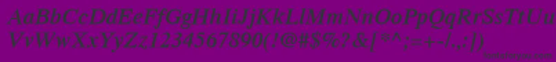 TimesLtSemiboldItalic Font – Black Fonts on Purple Background