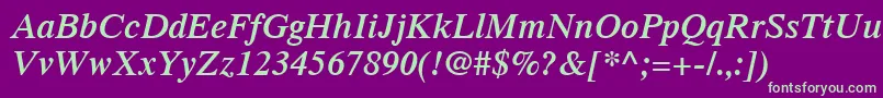 TimesLtSemiboldItalic Font – Green Fonts on Purple Background