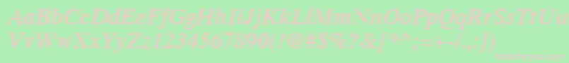 TimesLtSemiboldItalic Font – Pink Fonts on Green Background