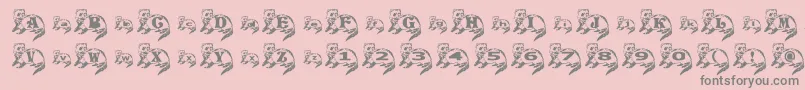 More about FerretSideNormal Font FerretSideNormal Font – Gray Fonts on Pink Background
