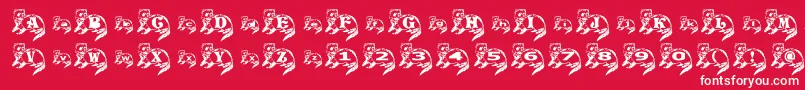 FerretSideNormal Font – White Fonts on Red Background
