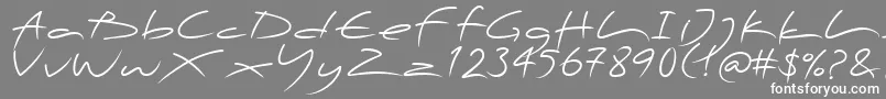 PfscandalproDisplay-Schriftart – Weiße Schriften auf grauem Hintergrund