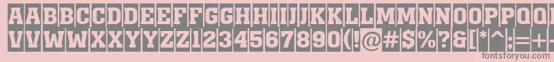 AMonumentotitulcmBold Font – Gray Fonts on Pink Background