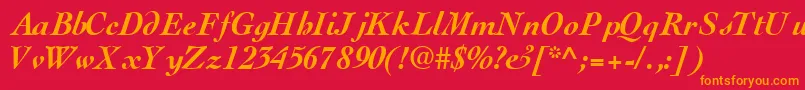 ThesissskBoldItalic Font – Orange Fonts on Red Background