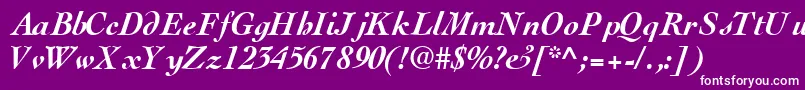 ThesissskBoldItalic Font – White Fonts on Purple Background