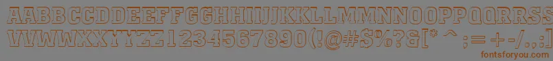 AMonumentotitulshBold Font – Brown Fonts on Gray Background
