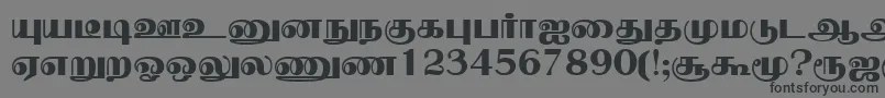 NallurPlain Font – Black Fonts on Gray Background