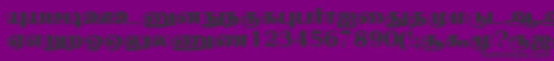 NallurPlain Font – Black Fonts on Purple Background